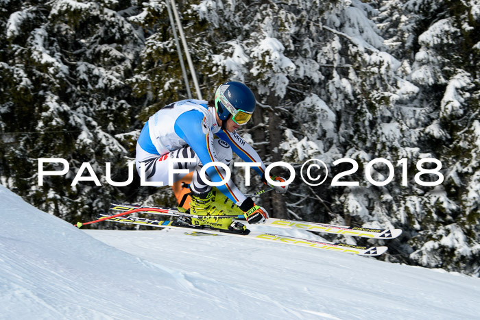 Int. FIS Rennen + NJC Herren, SG, Götschen, 26.02.2018