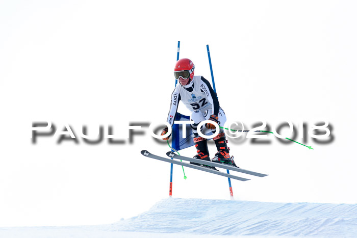 Int. FIS Rennen + NJC Herren, SG, Götschen, 26.02.2018