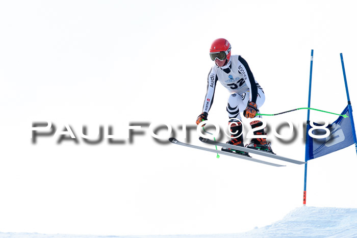 Int. FIS Rennen + NJC Herren, SG, Götschen, 26.02.2018