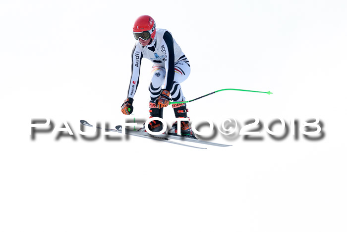 Int. FIS Rennen + NJC Herren, SG, Götschen, 26.02.2018