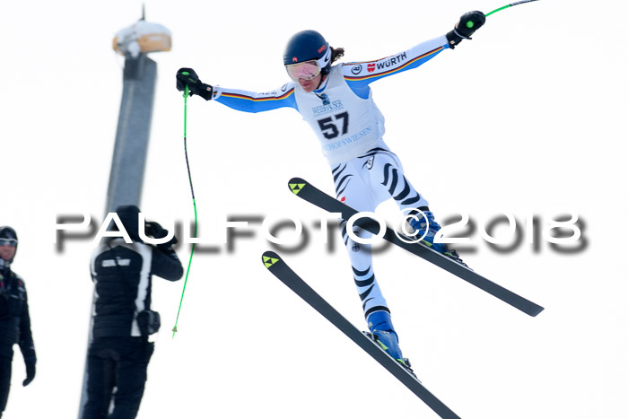 Int. FIS Rennen + NJC Herren, SG, Götschen, 26.02.2018