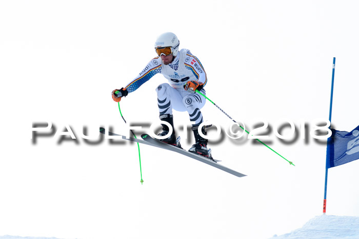Int. FIS Rennen + NJC Herren, SG, Götschen, 26.02.2018