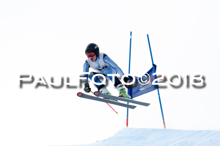 Int. FIS Rennen + NJC Herren, SG, Götschen, 26.02.2018