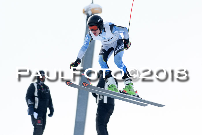 Int. FIS Rennen + NJC Herren, SG, Götschen, 26.02.2018