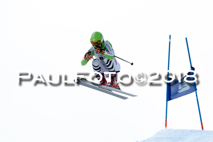 Int. FIS Rennen + NJC Herren, SG, Götschen, 26.02.2018