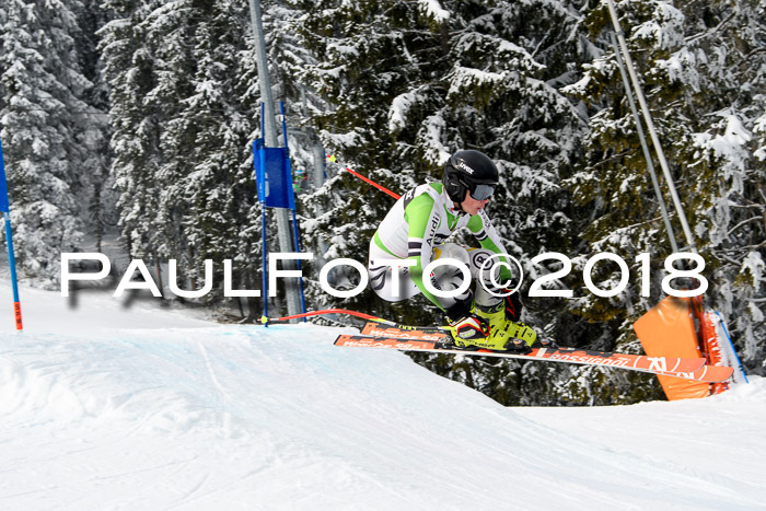 Int. FIS Rennen + NJC Herren, SG, Götschen, 26.02.2018