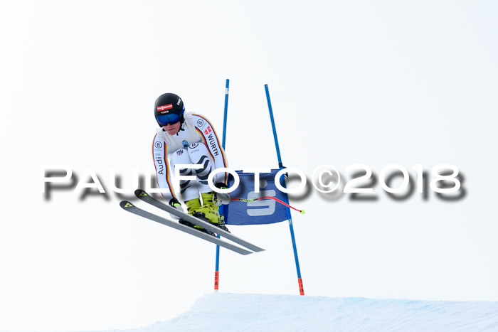 Int. FIS Rennen + NJC Herren, SG, Götschen, 26.02.2018