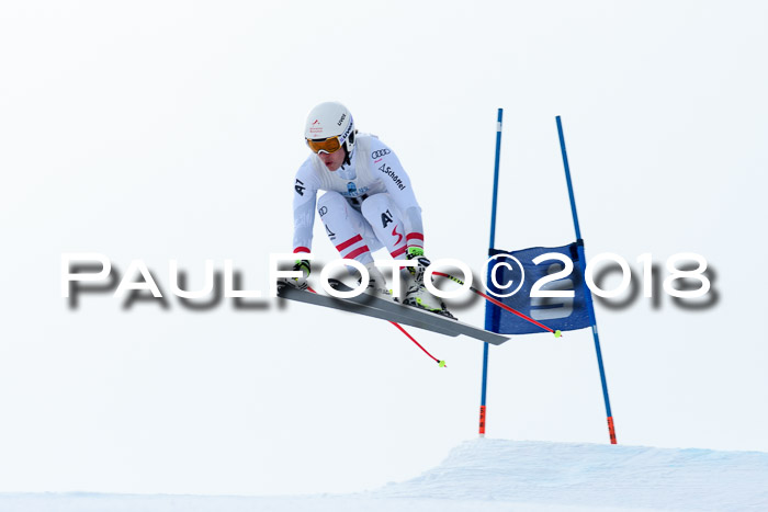 Int. FIS Rennen + NJC Herren, SG, Götschen, 26.02.2018