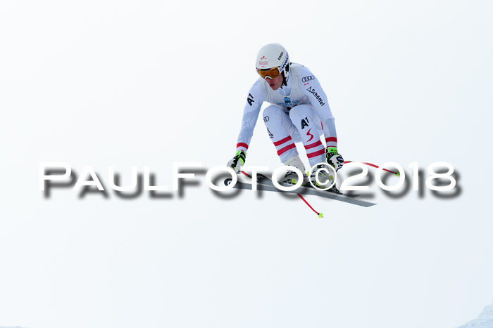 Int. FIS Rennen + NJC Herren, SG, Götschen, 26.02.2018