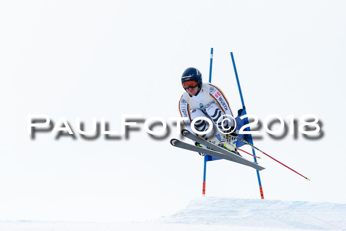 Int. FIS Rennen + NJC Herren, SG, Götschen, 26.02.2018