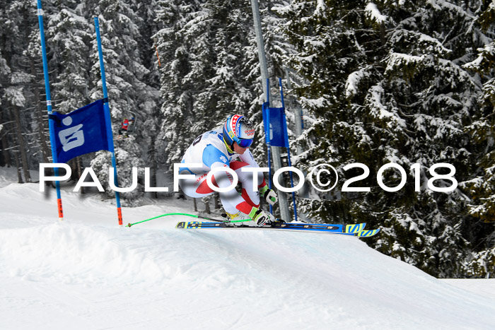 Int. FIS Rennen + NJC Herren, SG, Götschen, 26.02.2018