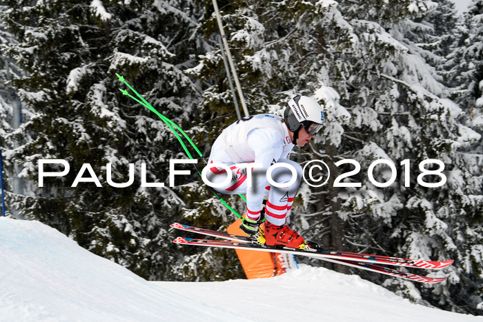 Int. FIS Rennen + NJC Herren, SG, Götschen, 26.02.2018
