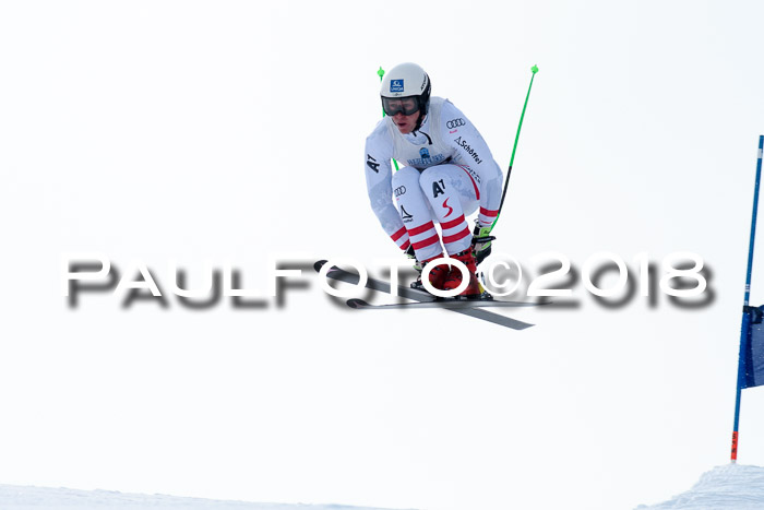Int. FIS Rennen + NJC Herren, SG, Götschen, 26.02.2018