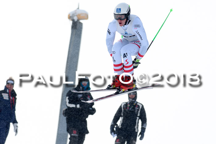Int. FIS Rennen + NJC Herren, SG, Götschen, 26.02.2018