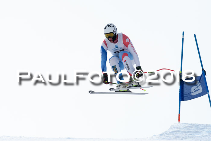 Int. FIS Rennen + NJC Herren, SG, Götschen, 26.02.2018
