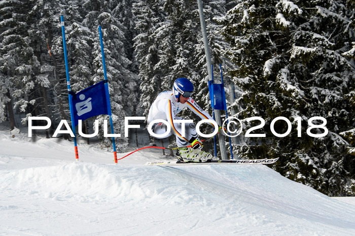 Int. FIS Rennen + NJC Herren, SG, Götschen, 26.02.2018