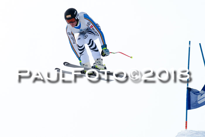 Int. FIS Rennen + NJC Herren, SG, Götschen, 26.02.2018