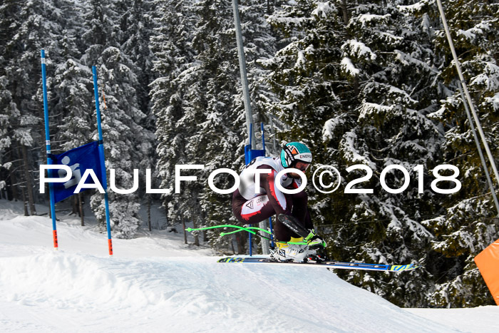 Int. FIS Rennen + NJC Herren, SG, Götschen, 26.02.2018