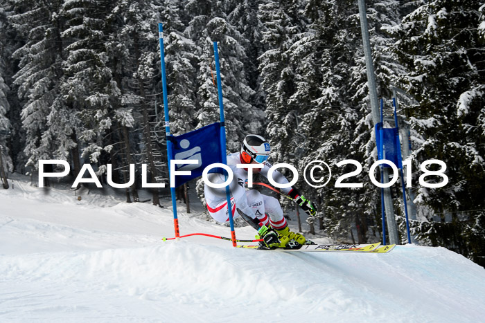 Int. FIS Rennen + NJC Herren, SG, Götschen, 26.02.2018