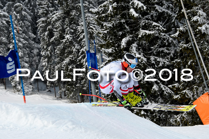 Int. FIS Rennen + NJC Herren, SG, Götschen, 26.02.2018