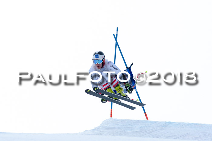 Int. FIS Rennen + NJC Herren, SG, Götschen, 26.02.2018