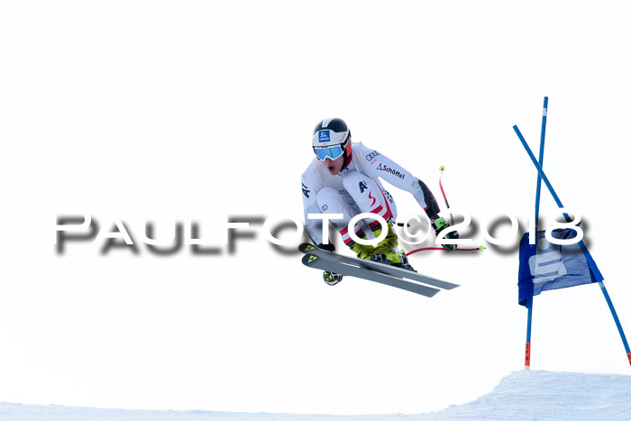 Int. FIS Rennen + NJC Herren, SG, Götschen, 26.02.2018