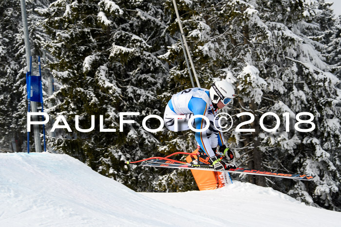 Int. FIS Rennen + NJC Herren, SG, Götschen, 26.02.2018