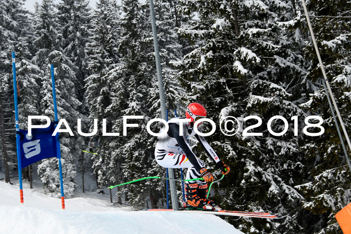 Int. FIS Rennen + NJC Herren, SG, Götschen, 26.02.2018