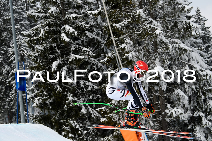 Int. FIS Rennen + NJC Herren, SG, Götschen, 26.02.2018