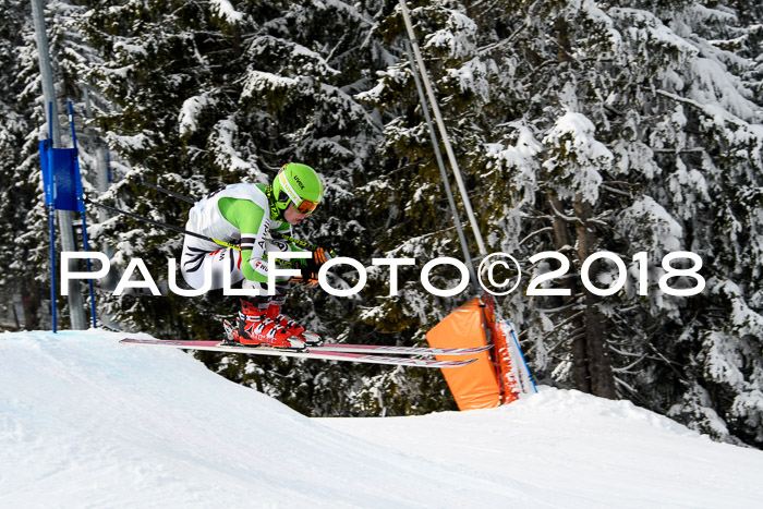 Int. FIS Rennen + NJC Herren, SG, Götschen, 26.02.2018