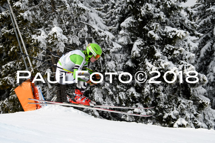 Int. FIS Rennen + NJC Herren, SG, Götschen, 26.02.2018
