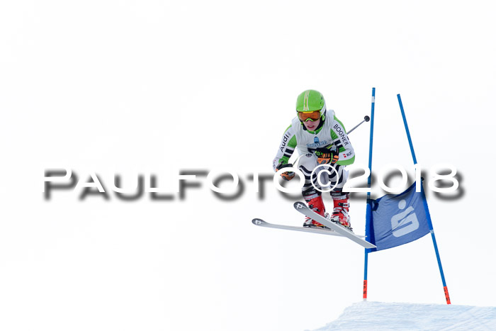 Int. FIS Rennen + NJC Herren, SG, Götschen, 26.02.2018