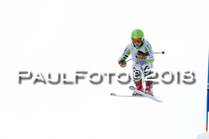 Int. FIS Rennen + NJC Herren, SG, Götschen, 26.02.2018