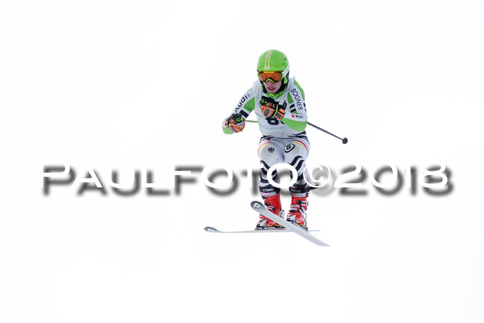 Int. FIS Rennen + NJC Herren, SG, Götschen, 26.02.2018