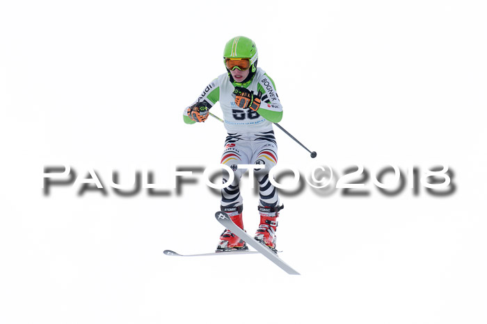 Int. FIS Rennen + NJC Herren, SG, Götschen, 26.02.2018