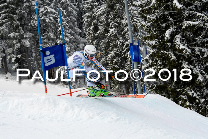 Int. FIS Rennen + NJC Herren, SG, Götschen, 26.02.2018