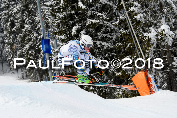 Int. FIS Rennen + NJC Herren, SG, Götschen, 26.02.2018