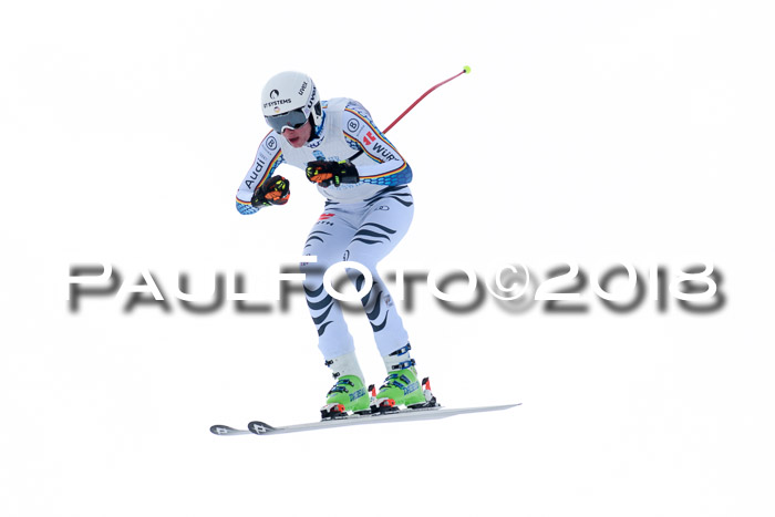 Int. FIS Rennen + NJC Herren, SG, Götschen, 26.02.2018