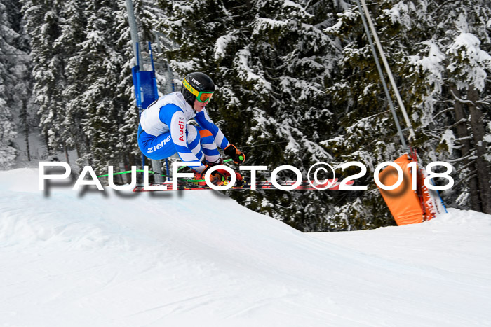 Int. FIS Rennen + NJC Herren, SG, Götschen, 26.02.2018