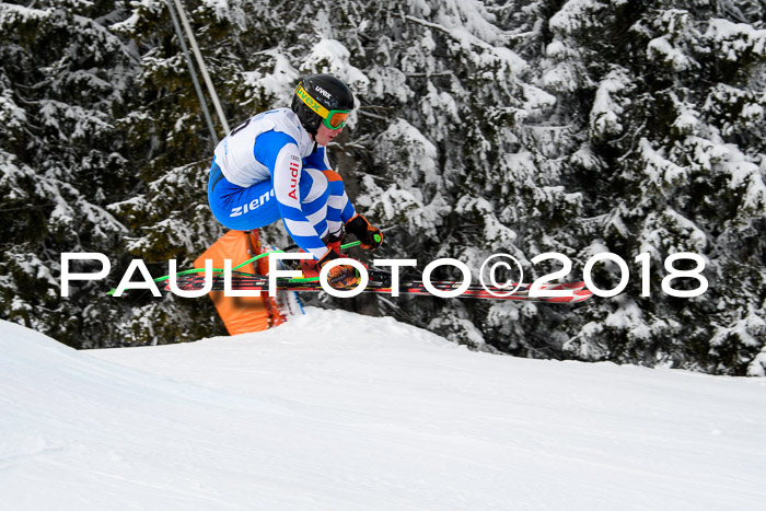 Int. FIS Rennen + NJC Herren, SG, Götschen, 26.02.2018