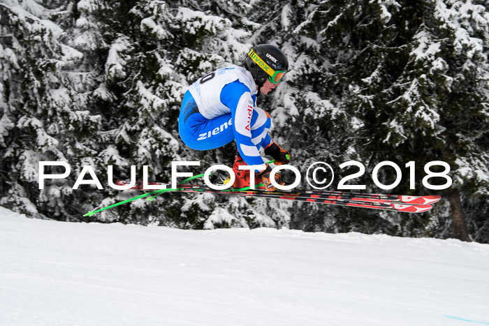 Int. FIS Rennen + NJC Herren, SG, Götschen, 26.02.2018