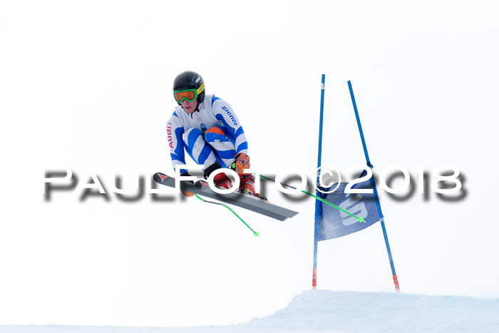 Int. FIS Rennen + NJC Herren, SG, Götschen, 26.02.2018
