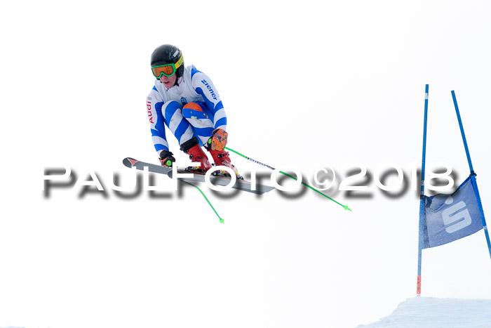 Int. FIS Rennen + NJC Herren, SG, Götschen, 26.02.2018