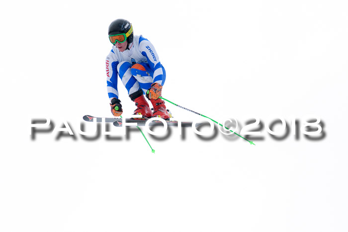 Int. FIS Rennen + NJC Herren, SG, Götschen, 26.02.2018