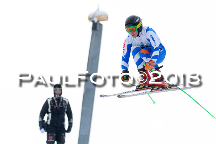 Int. FIS Rennen + NJC Herren, SG, Götschen, 26.02.2018