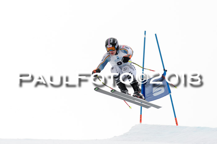 Int. FIS Rennen + NJC Herren, SG, Götschen, 26.02.2018