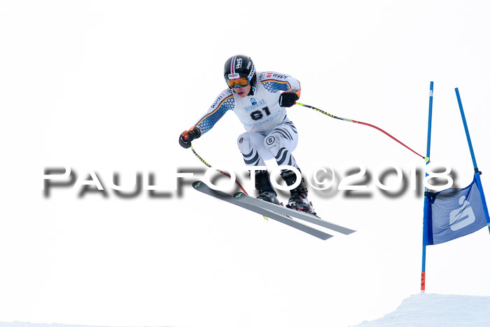 Int. FIS Rennen + NJC Herren, SG, Götschen, 26.02.2018