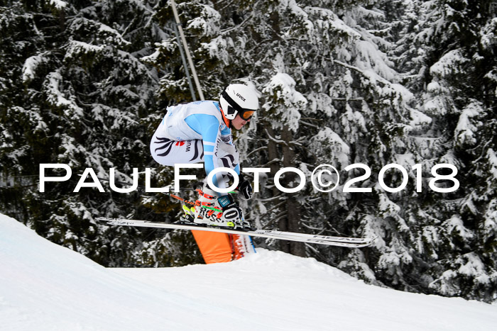 Int. FIS Rennen + NJC Herren, SG, Götschen, 26.02.2018