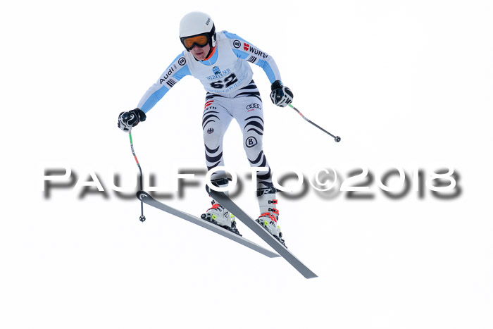 Int. FIS Rennen + NJC Herren, SG, Götschen, 26.02.2018