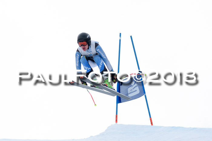 Int. FIS Rennen + NJC Herren, SG, Götschen, 26.02.2018